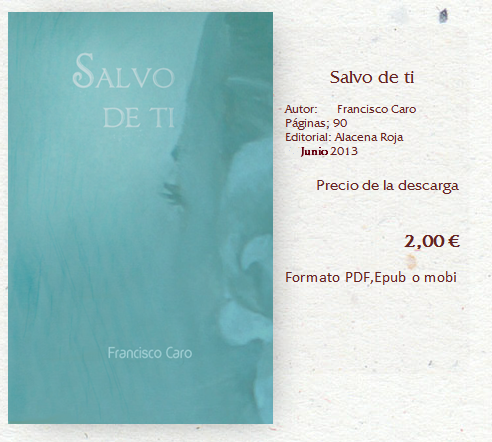 Salvo de ti, ebook dos euros en formato epub, pdf o mobi.
